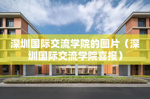 深圳国际交流学院的图片（深圳国际交流学院喜报）
