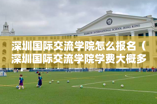 深圳国际交流学院怎么报名（深圳国际交流学院学费大概多少）
