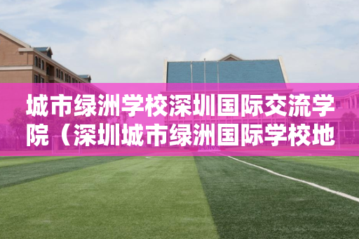 城市绿洲学校深圳国际交流学院（深圳城市绿洲国际学校地址）