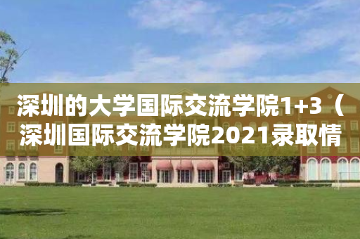 深圳的大学国际交流学院1+3（深圳国际交流学院2021录取情况）