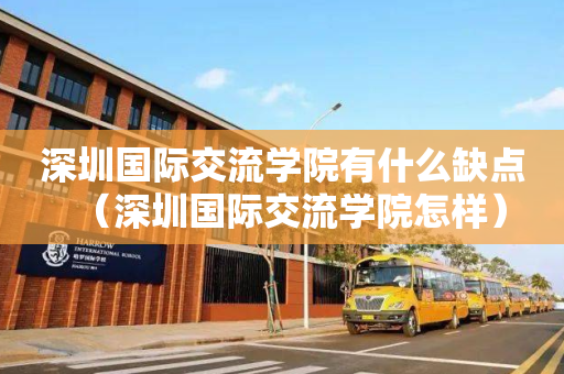 深圳国际交流学院有什么缺点（深圳国际交流学院怎样）