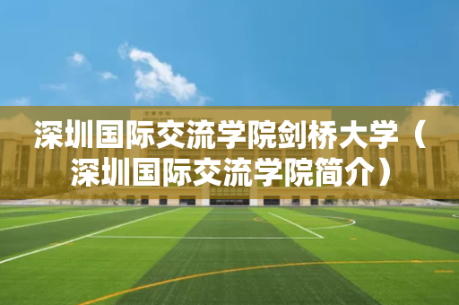 深圳国际交流学院剑桥大学（深圳国际交流学院简介）
