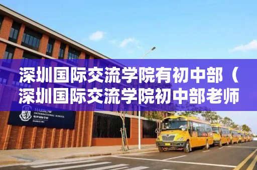 深圳国际交流学院有初中部（深圳国际交流学院初中部老师收入）