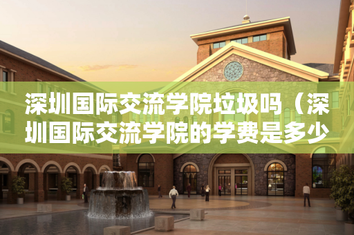 深圳国际交流学院垃圾吗（深圳国际交流学院的学费是多少）