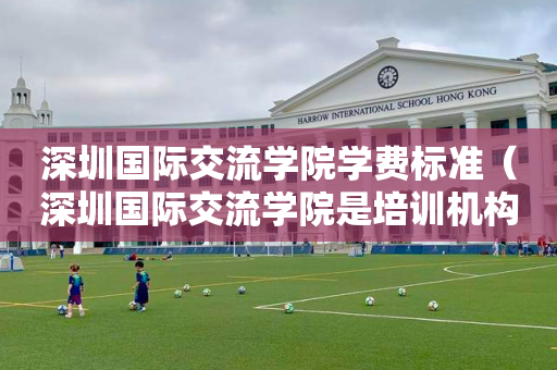 深圳国际交流学院学费标准（深圳国际交流学院是培训机构吗）
