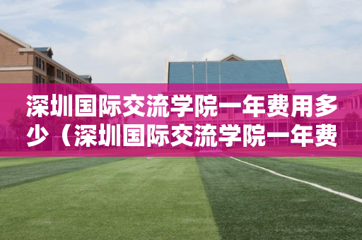 深圳国际交流学院一年费用多少（深圳国际交流学院一年费用多少钱）