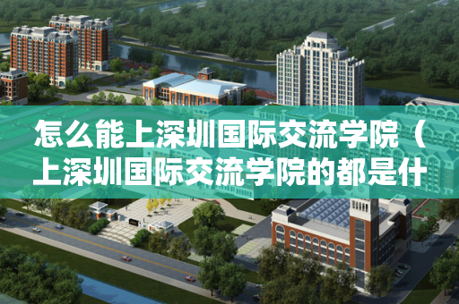 怎么能上深圳国际交流学院（上深圳国际交流学院的都是什么家庭）