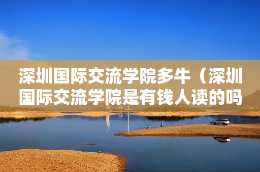 深圳国际交流学院多牛（深圳国际交流学院是有钱人读的吗）