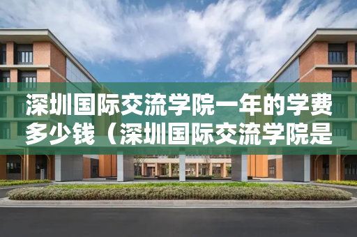深圳国际交流学院一年的学费多少钱（深圳国际交流学院是培训机构吗）