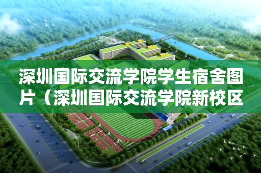 深圳国际交流学院学生宿舍图片（深圳国际交流学院新校区项目总承包）