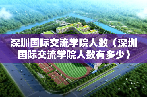 深圳国际交流学院人数（深圳国际交流学院人数有多少）