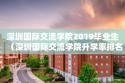 深圳国际交流学院2019毕业生（深圳国际交流学院升学率排名）