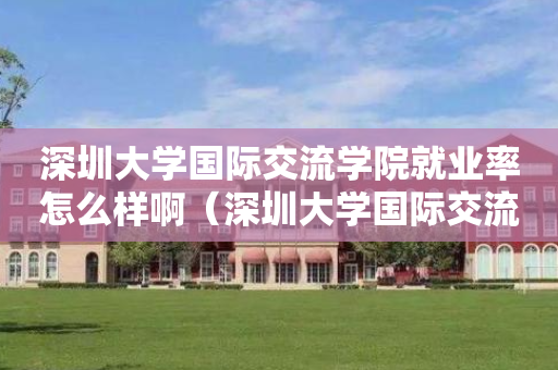 深圳大学国际交流学院就业率怎么样啊（深圳大学国际交流学院就业率怎么样啊）