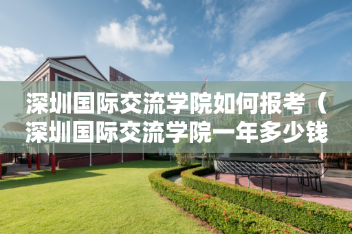 深圳国际交流学院如何报考（深圳国际交流学院一年多少钱）