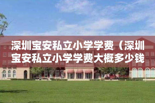 深圳宝安私立小学学费（深圳宝安私立小学学费大概多少钱?）