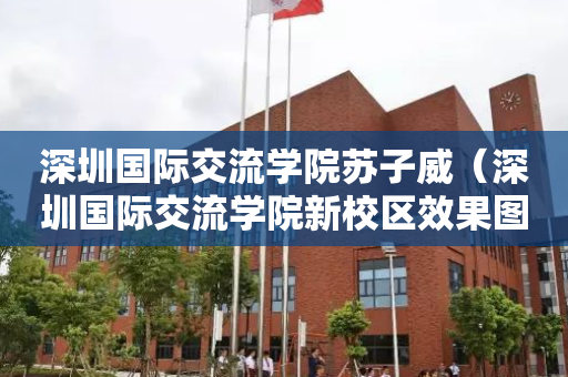 深圳国际交流学院苏子威（深圳国际交流学院新校区效果图）