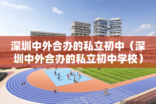深圳中外合办的私立初中（深圳中外合办的私立初中学校）