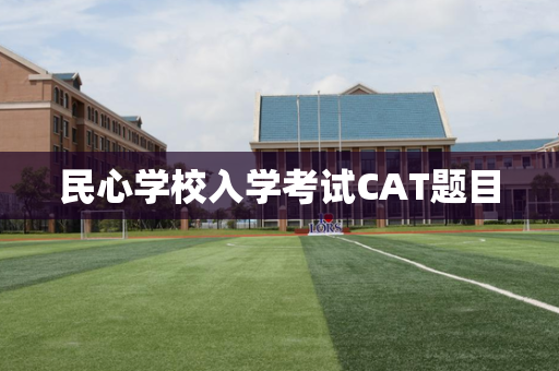 民心学校入学考试CAT题目