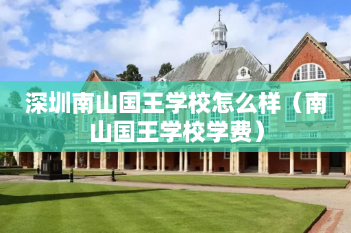 深圳南山国王学校怎么样（南山国王学校学费）