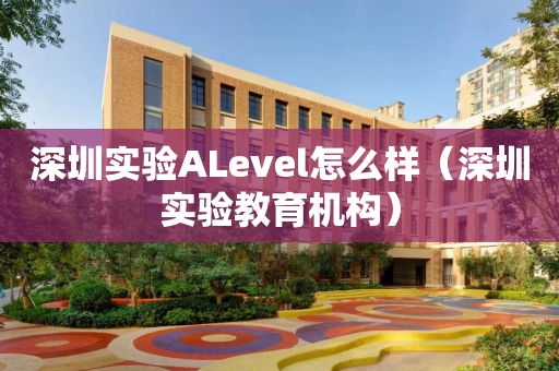 深圳实验ALevel怎么样（深圳实验教育机构）