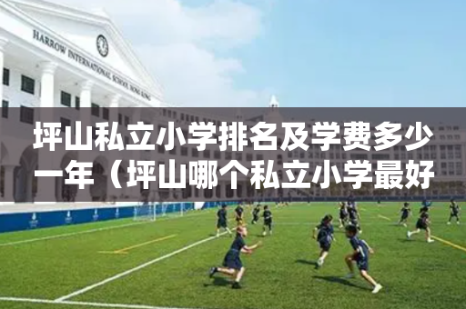坪山私立小学排名及学费多少一年（坪山哪个私立小学最好）