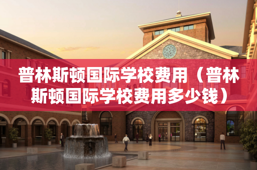 普林斯顿国际学校费用（普林斯顿国际学校费用多少钱）