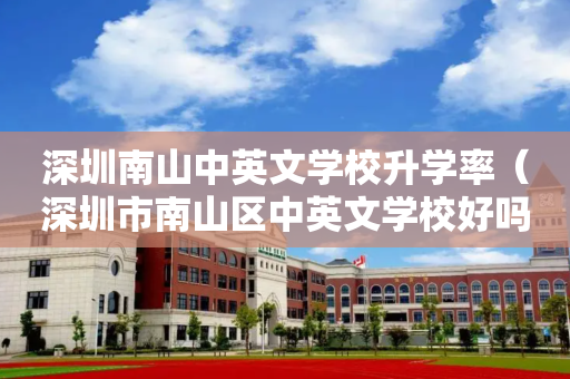 深圳南山中英文学校升学率（深圳市南山区中英文学校好吗）