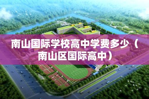 南山国际学校高中学费多少（南山区国际高中）