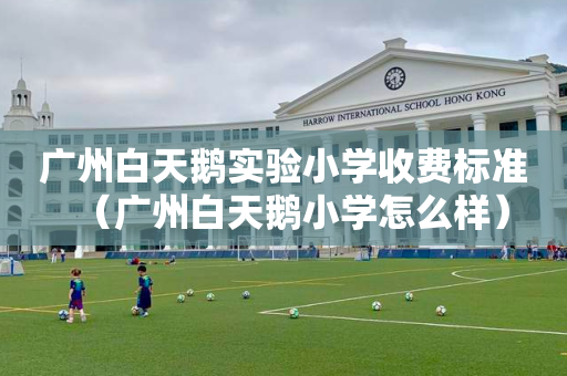 广州白天鹅实验小学收费标准（广州白天鹅小学怎么样）