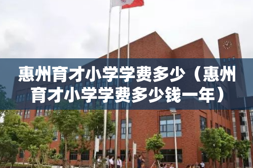 惠州育才小学学费多少（惠州育才小学学费多少钱一年）