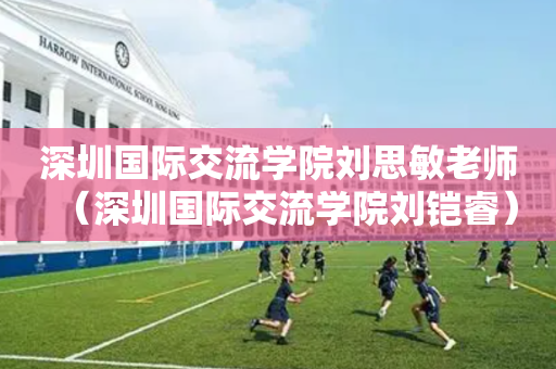 深圳国际交流学院刘思敏老师（深圳国际交流学院刘铠睿）