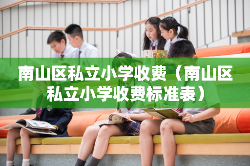 南山区私立小学收费（南山区私立小学收费标准表）