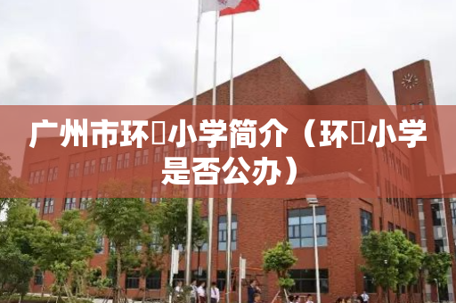 广州市环滘小学简介（环滘小学是否公办）