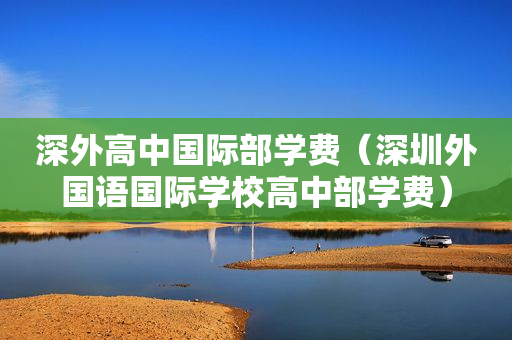 深外高中国际部学费（深圳外国语国际学校高中部学费）