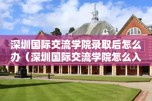 深圳国际交流学院录取后怎么办（深圳国际交流学院怎么入学）