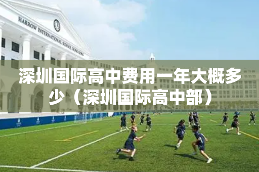 深圳国际高中费用一年大概多少（深圳国际高中部）