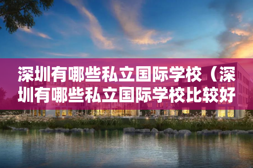 深圳有哪些私立国际学校（深圳有哪些私立国际学校比较好）