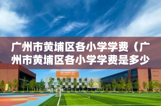 广州市黄埔区各小学学费（广州市黄埔区各小学学费是多少）