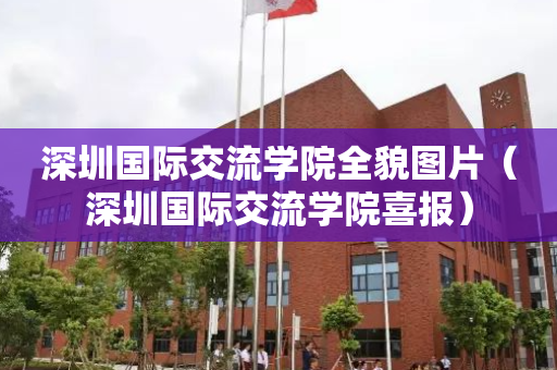 深圳国际交流学院全貌图片（深圳国际交流学院喜报）