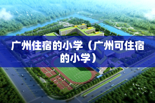 广州住宿的小学（广州可住宿的小学）