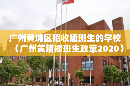 广州黄埔区招收插班生的学校（广州黄埔插班生政策2020）