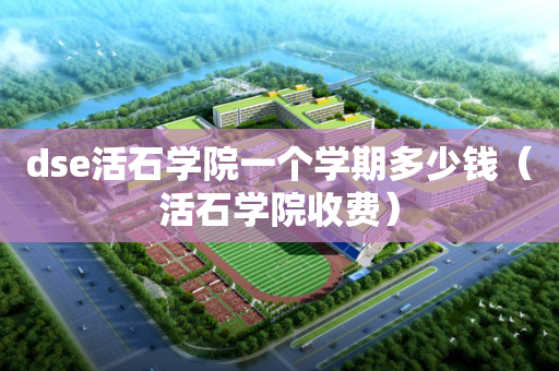 dse活石学院一个学期多少钱（活石学院收费）