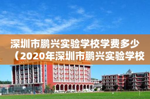 深圳市鹏兴实验学校学费多少（2020年深圳市鹏兴实验学校学费多少）