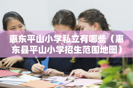 惠东平山小学私立有哪些（惠东县平山小学招生范围地图）
