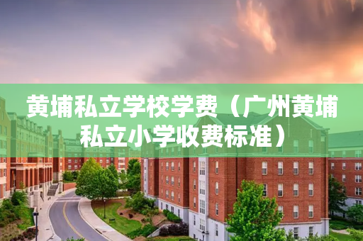 黄埔私立学校学费（广州黄埔私立小学收费标准）