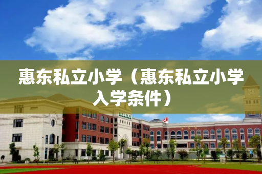 惠东私立小学（惠东私立小学入学条件）