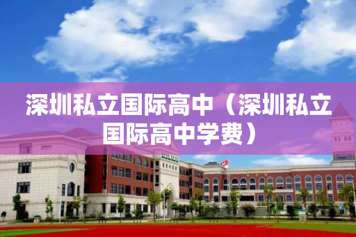 深圳私立国际高中（深圳私立国际高中学费）