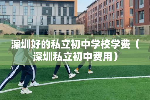 深圳好的私立初中学校学费（深圳私立初中费用）