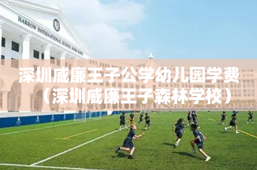 深圳威廉王子公学幼儿园学费（深圳威廉王子森林学校）