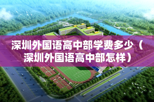 深圳外国语高中部学费多少（深圳外国语高中部怎样）